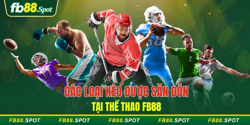 Các loại kèo được săn đón FB88 Sports