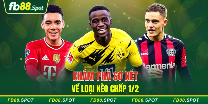 Khám phá sơ nét về loại kèo chấp 1/2